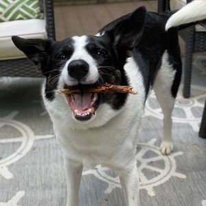 Meet your Posher, Charlotte